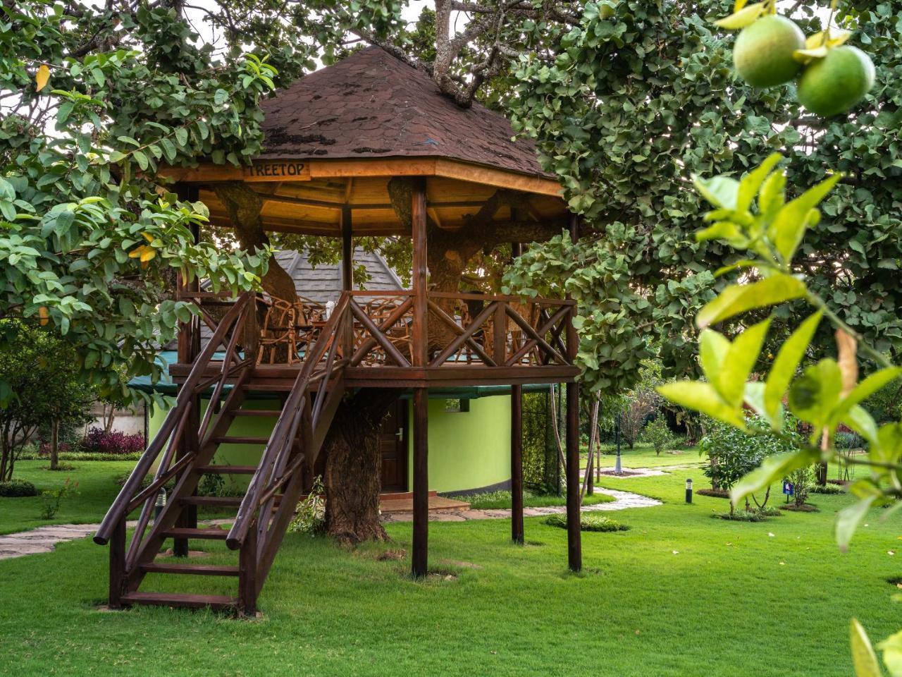 Fun Retreat Resort, Hotel And Ayurveda Spa Αρούσα Εξωτερικό φωτογραφία